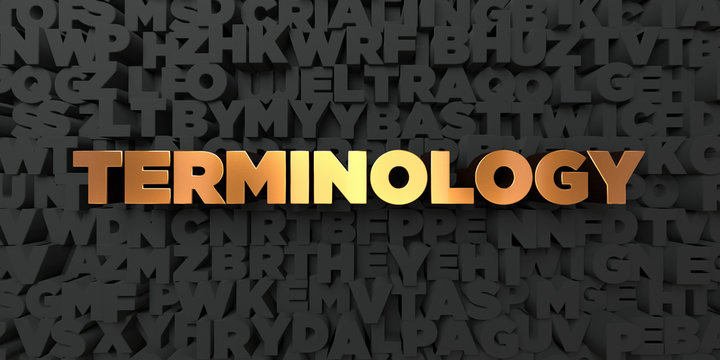 Instagram Terminology for New Users: The Top Ten