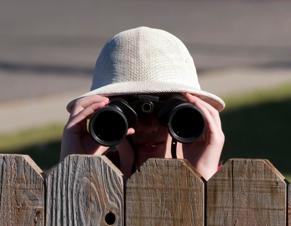 Convert Lurkers to Followers on Instagram