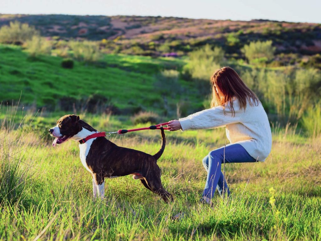 How to Deal with Reach Throttling on Instagram