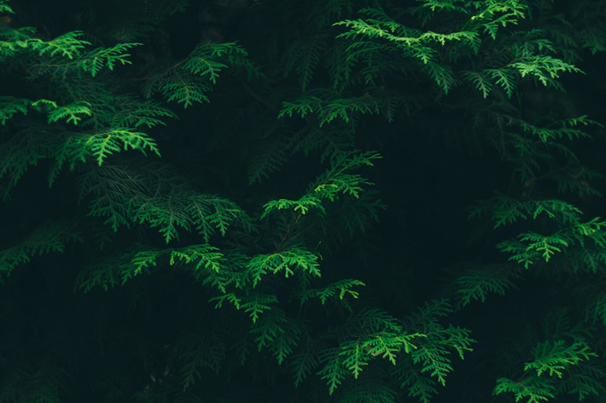 How to Use Evergreen Content on Instagram