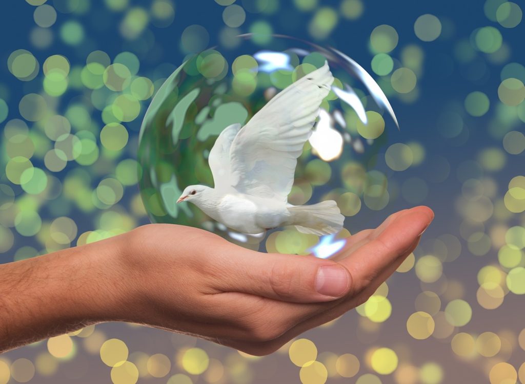 Keeping the Peace on Instagram