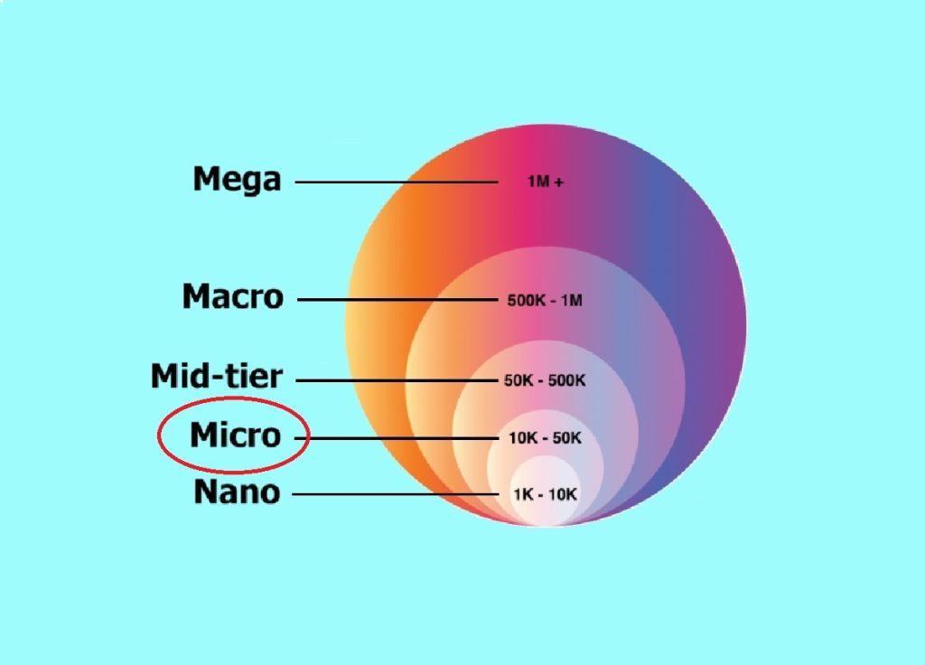 What are Micro-influencers on Instagram?